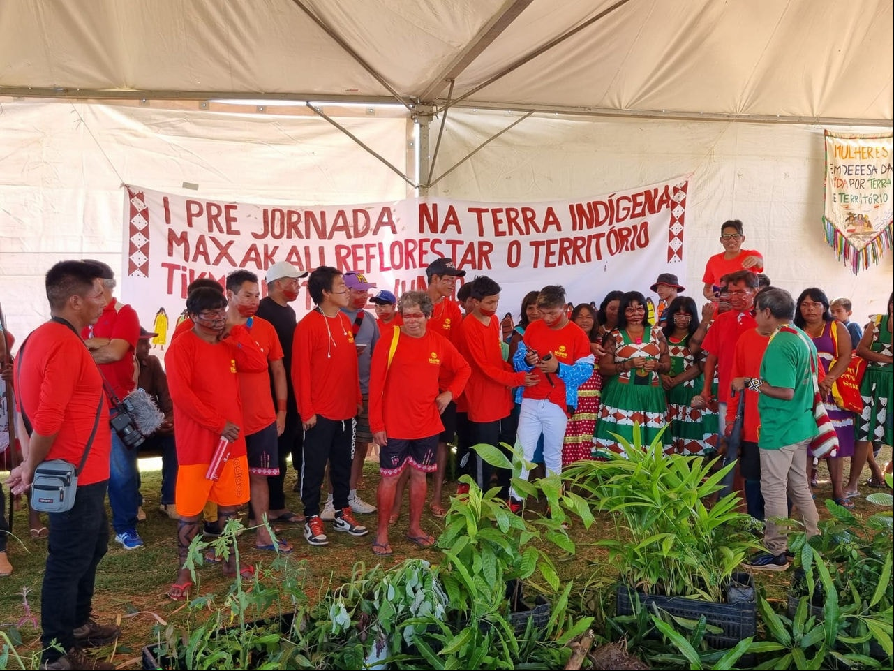 Terra Indígena Maxakali sedia jornada de reflorestamento e saberes tradicionais em Minas Gerais