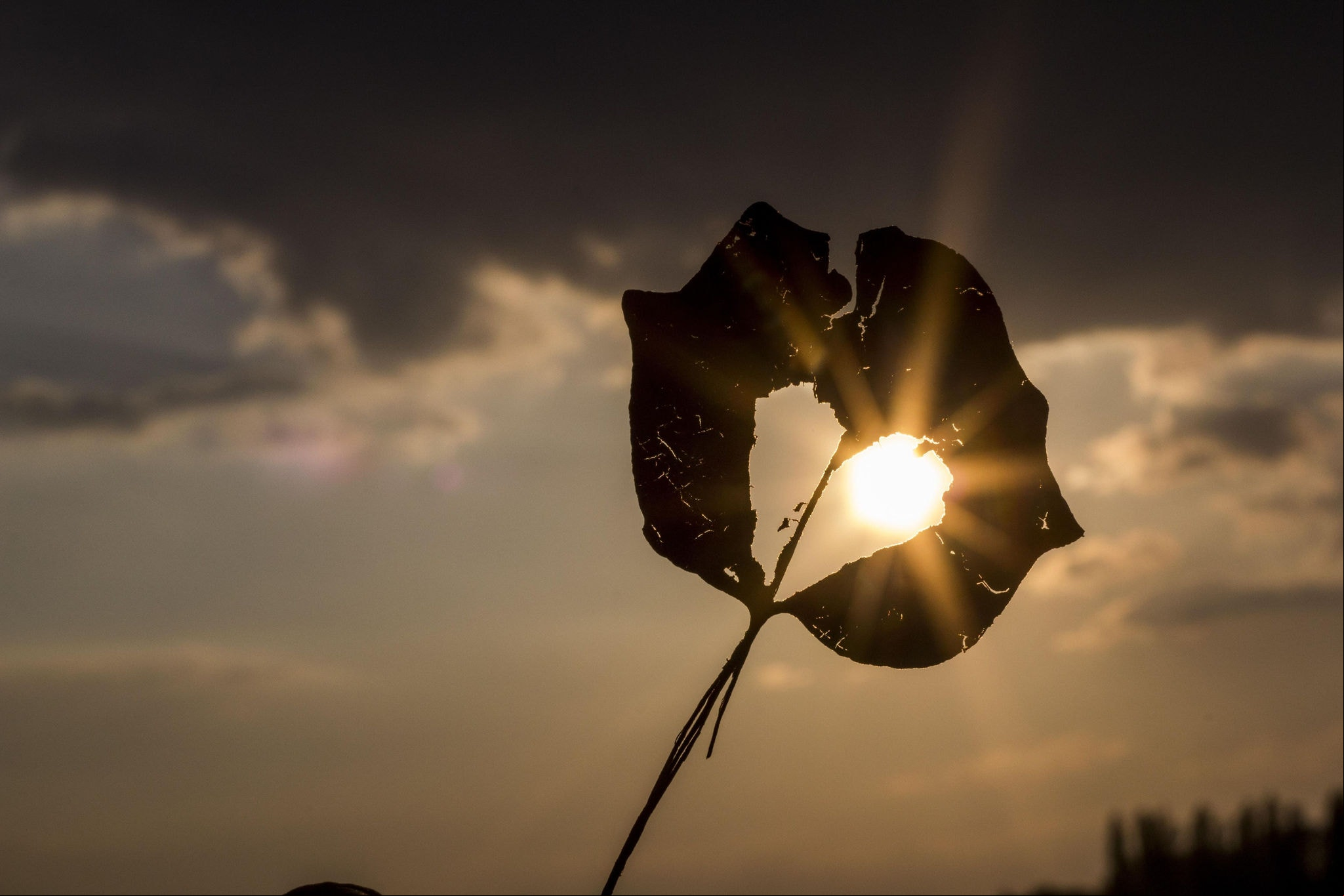 O último mês foi 0,53°C mais quente que a média para o período de 1991 a 2020