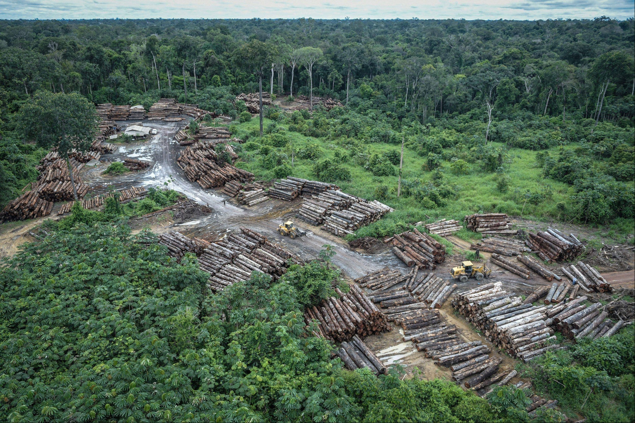 Imagem ilustrativa de uma área desmatada na Amazônia