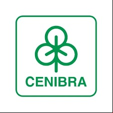e mais matérias de Cenibra 